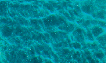 Pool Colour Royal Jade