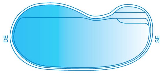 kidney-diagram